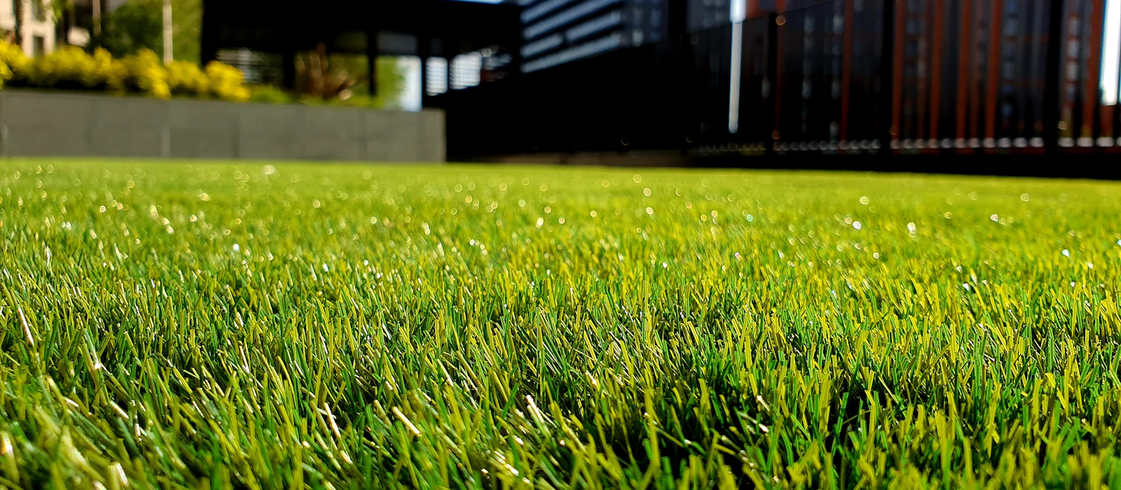 Landscaping — close-up of the trade